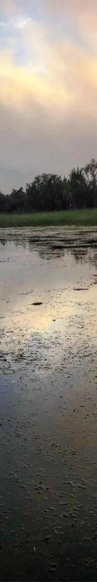 Bootsfahrt in den Mary River Wetlands